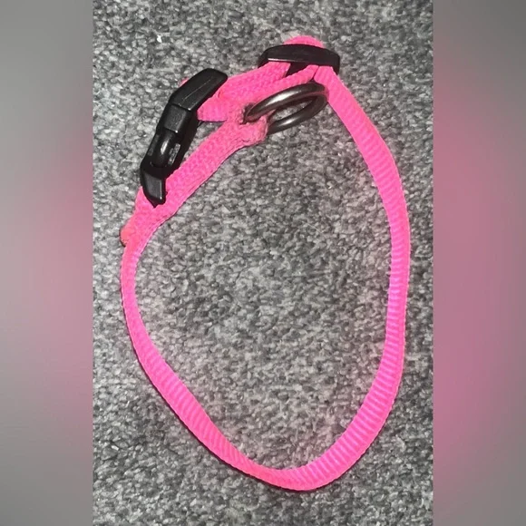🎉HOST PICK 🎉 Hot Pink Dog Collar - Picture 7 of 7